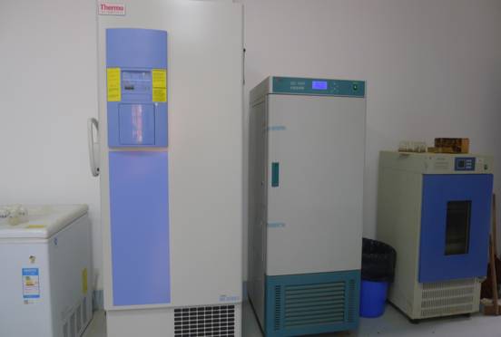 超低温冰箱、光照培养箱、恒温振荡培养箱