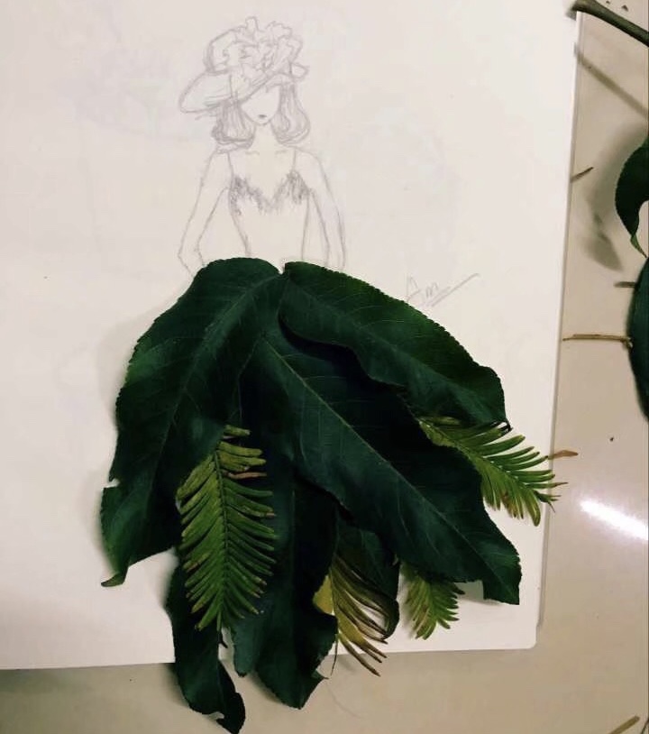 同学优秀作品展示