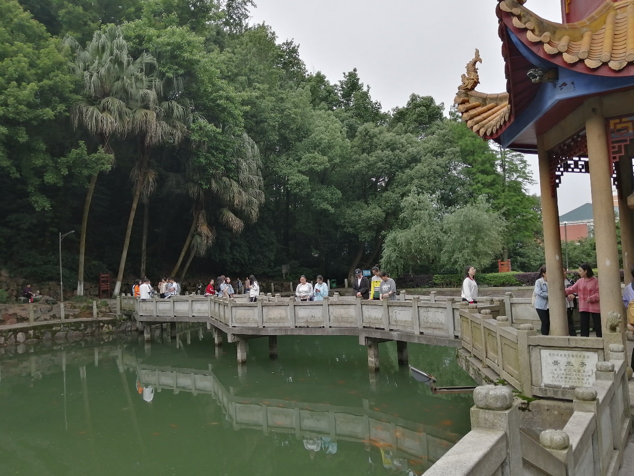 活动过程留影
