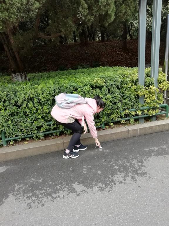 活动中志愿者捡垃圾